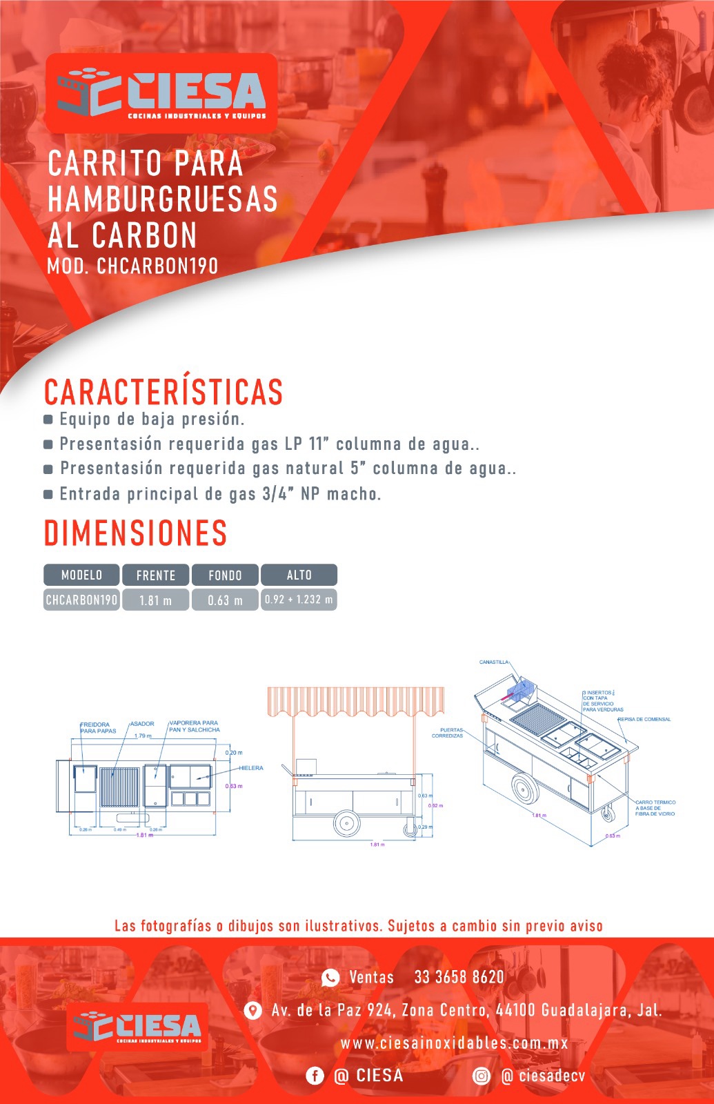 Carrito Para Hamburguesas Al Carbón - Imagen 7
