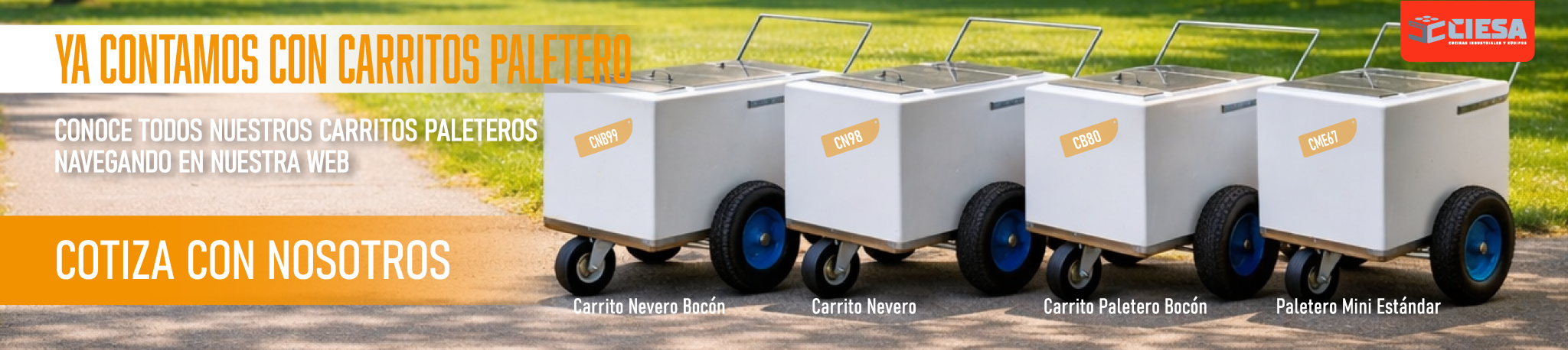 carrito palereto-30-19