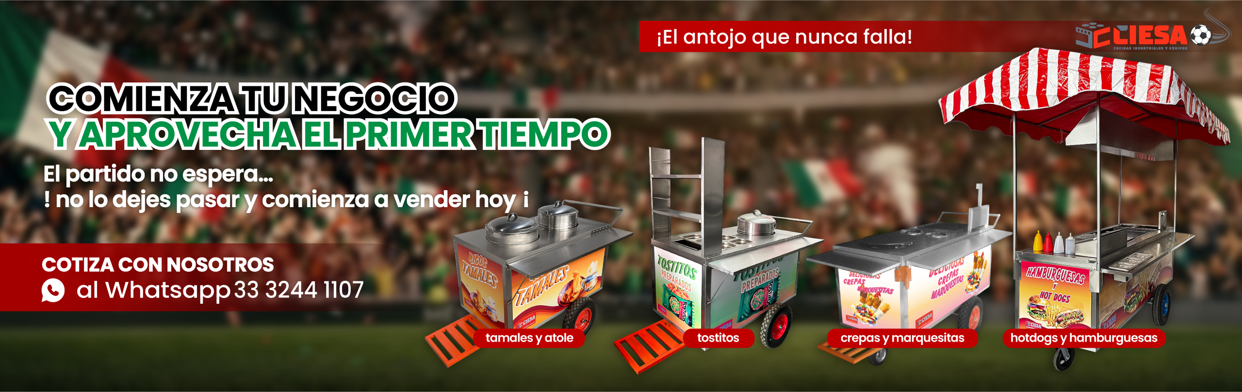 PLANTILLA-WEBfucho